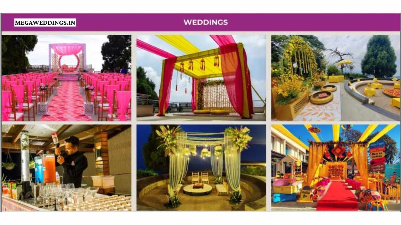 Royal orchid Fort Resort wedding Decor